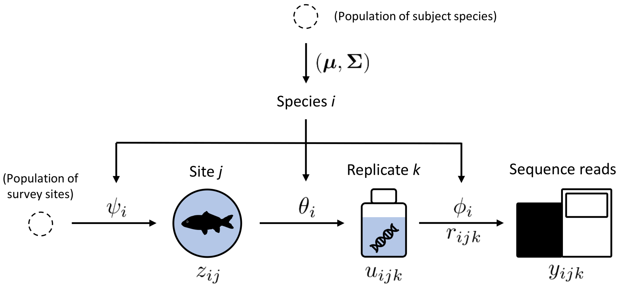 Adapted from Figure 1 in Fukaya et al. 2022 (CC BY 4.0)